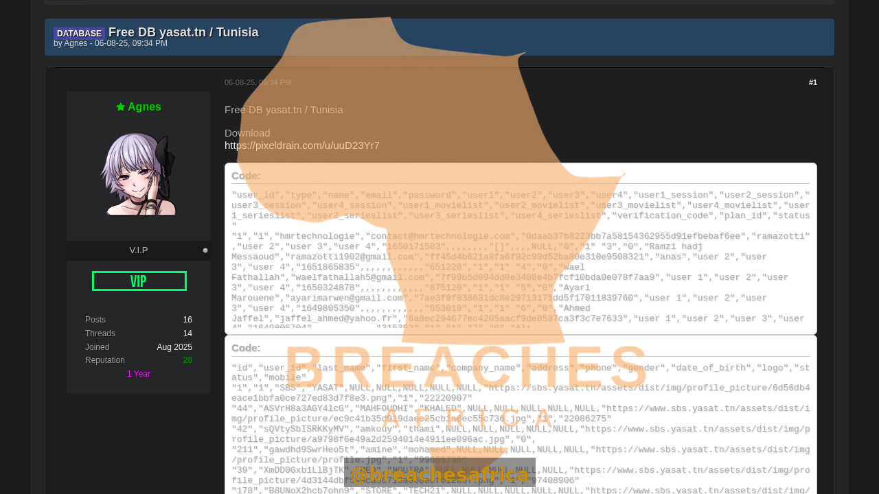 Screenshot of the yasat.tn database thread on DarkForums