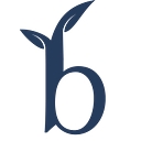Botselo logo