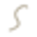 Singita logo
